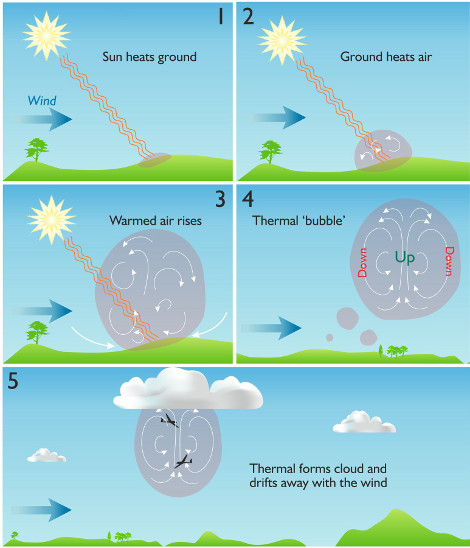 birth of thermal