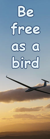 free_bird.jpg